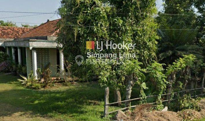 Dijual Rumah Asri Sejuk Nyaman Siap Pakai Halaman Luas Jl. Kuncir Wonosalam Demak 11.816 rat  2