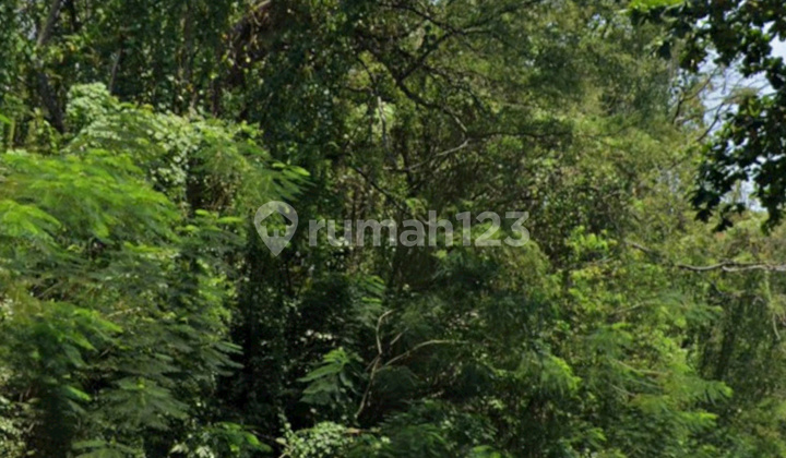 Dijual Tanah Gombel Semarang Atas Harga di Bawah NJOP dan Aprisial Bank.good Inves 1