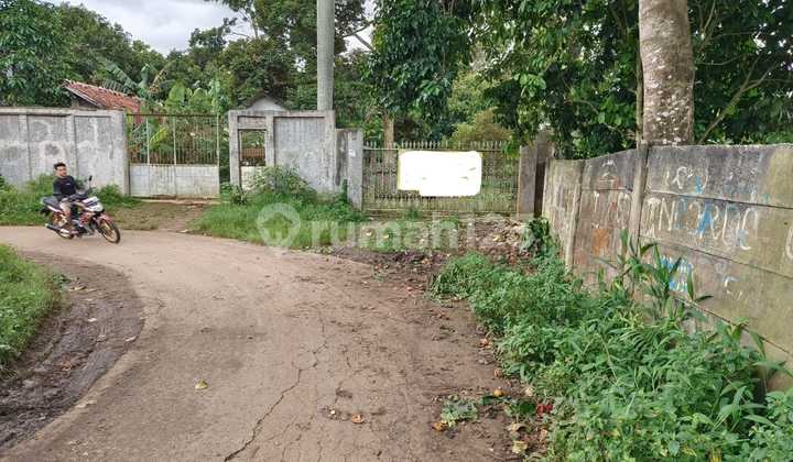 Tanah Di Rumpin Ada Buah2annya