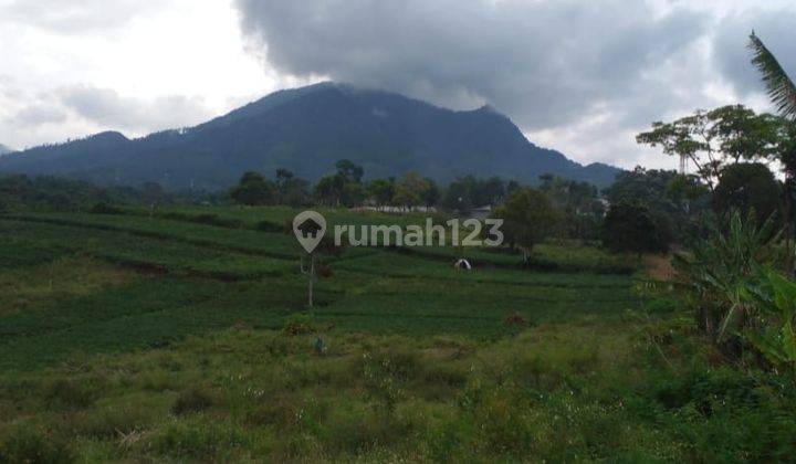 Tanah di Cibiru,Jl Cibangkonol Cibiru Wetan
