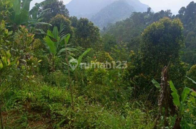 Tanah Kawasan Wisata Turyapada Siap Pakai Murah Buleleng 1