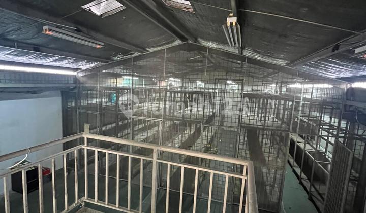 Good Warehouse 9X20 in Elang Laut Warehousing