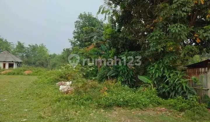 Lahan Shm Jiungjing Cisoka Lt 1.7 Ha Tangerang Lahan Shm Jiungjing Cisoka Lt 1.7 Ha Tangerang