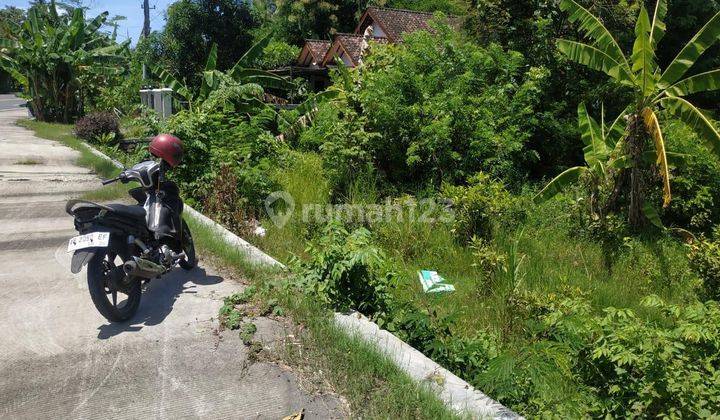 Tanah Di Jalan Raya Wates Akses Bandara Internasional Yogyakarta Luas 800m2  2