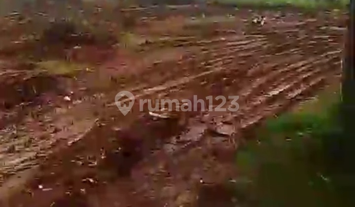 Lahan Shm Tigaraksa Lt 100 Ha Tangerang Lahan Shm Tigaraksa Lt 100 Ha Tangerang