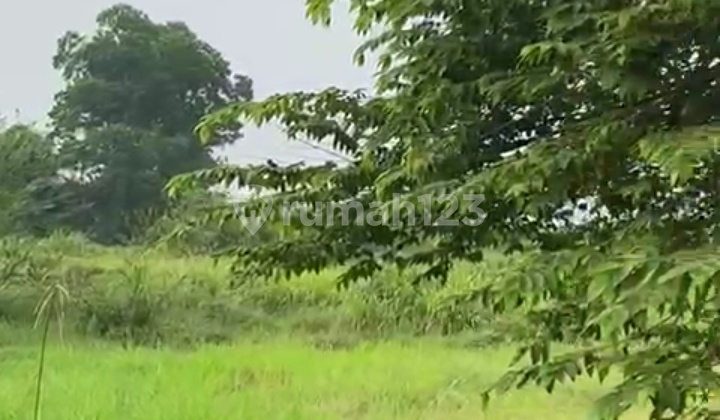 Strategic Land Kelapa Dua SHM Yellow Zone LT 20000M2 Tangerang Strategic Land Kelapa Dua SHM Yellow Zone LT 20000M2 Tangerang