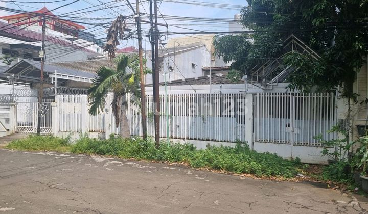 Termurahh .. Jual di Bawah NJOP Rumah Tua di Pluit Sakti Jual Hitung Tanah 16 Jutaan Saja Per Meter , Hadap Timur , Row Jalan Lebar 1