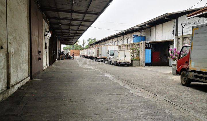 JARANG ADA .. DISEWAKAN CEPAT GUDANG KAPUK PETERNAKAN , LUAS 705 & 600 METER BEBAS BANJIR 1