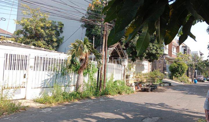 JARANG ADA .. RUMAH PLUIT SAKTI JUAL HITUNG TANAH SAJA , ROW JALAN LEBAR , HADAP TIMUR 2