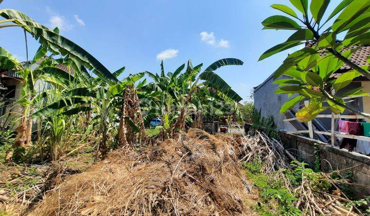 Tanah jalan utama Saraswati Seminyak Tanah di Jl  Saraswati Seminyak  2