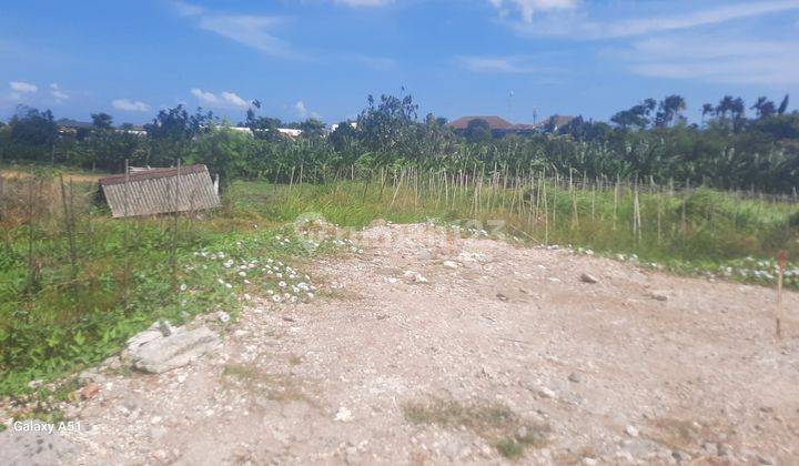 Tanah view sawah Kerobokan dekat Seminyak 1