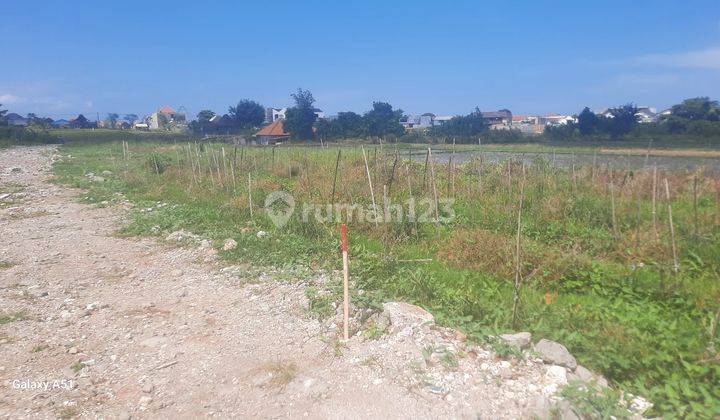 Tanah view sawah Kerobokan dekat Seminyak 2