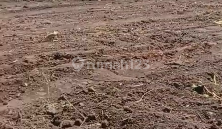 Dense Land in Gandasari Area, Katapang, Bandung Regency, Excellent LocationFor Sale or Rent, Roadside