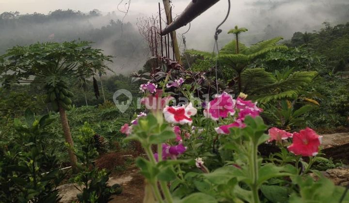 Dijual Tanah Dan Villa Di Sukabumi View Gunung Salak 12