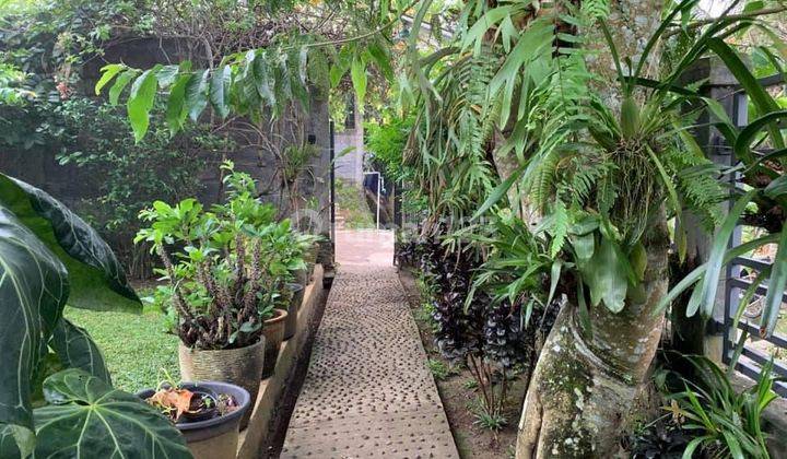 Dijual Tanah Dan Villa Di Sukabumi View Gunung Salak 13