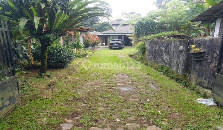 Dijual Cepat Rumah Di Puncak 2