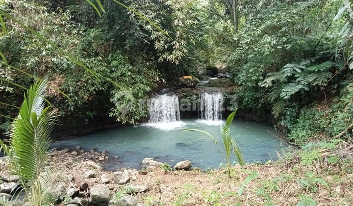 Tanah Kebun Murah Dengan Air Terjun Kawasan Wisata Gunung Salak Selemadeg Timur Tabana Bali 1