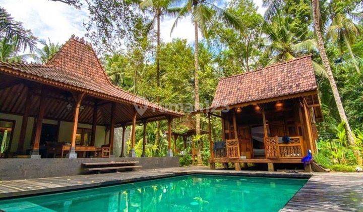 Villa joglo modern Taman luas dekat Ubud Bali 1
