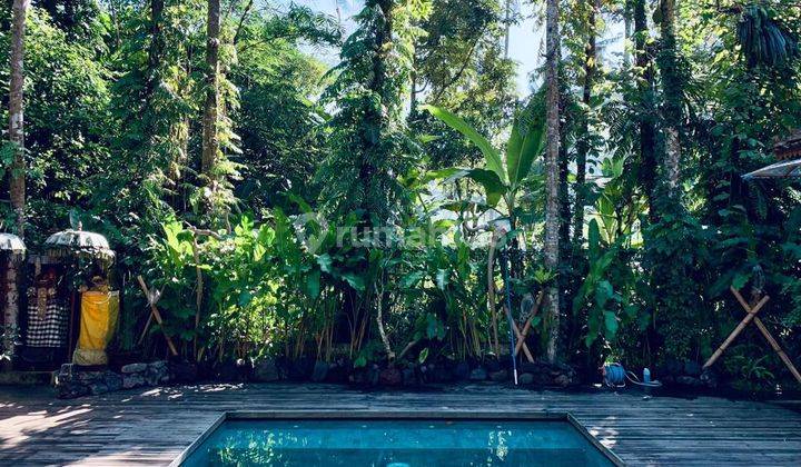 Villa joglo modern Taman luas dekat Ubud Bali 4