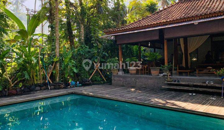 Villa joglo modern Taman luas dekat Ubud Bali 5