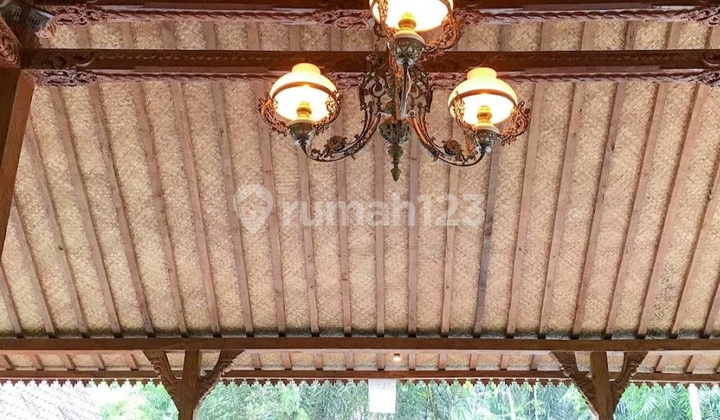 Villa joglo modern Taman luas dekat Ubud Bali 12