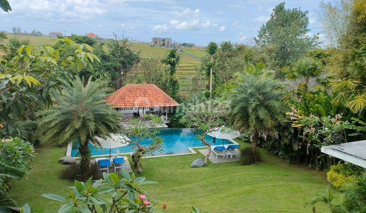 Villa luxury view sawah furnished di Pererenan Canggu Bali 2