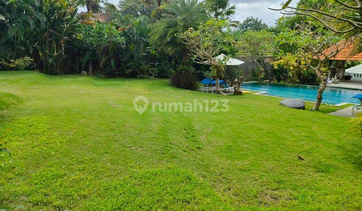 Luxury villa with rice field view furnished in Pererenan Canggu Bali 2