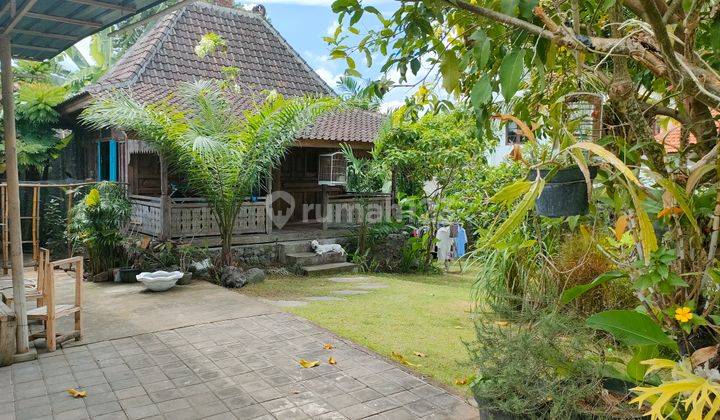 Villa luxury view sawah furnished di Pererenan Canggu Bali 2