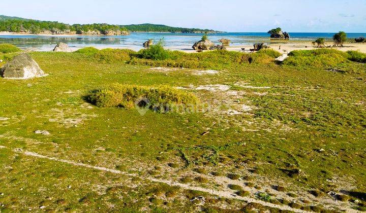 Tanah pinggir pantai pasir putih di Rote Ndao Nusa Tenggara Timur 1