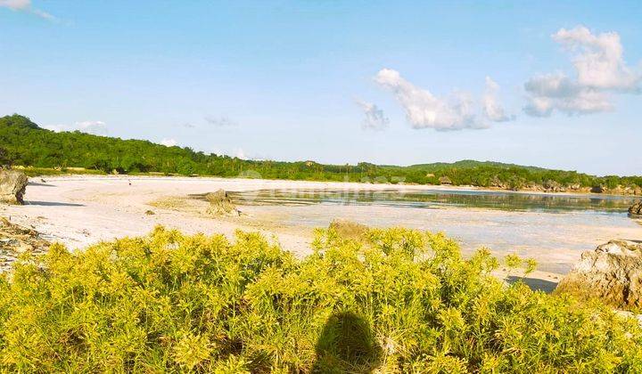 Tanah pinggir pantai pasir putih di Rote Ndao Nusa Tenggara Timur 4