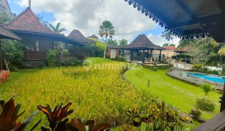 Villa joglo view sawah Abadi di sebatu Tegalalang Ubud bali 1
