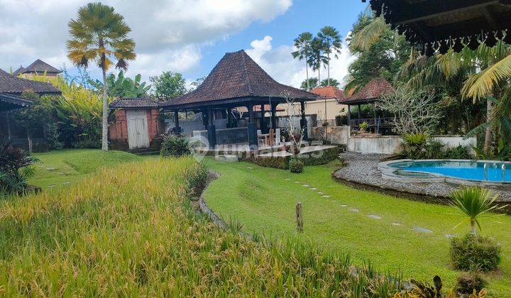 Villa joglo view sawah Abadi di sebatu Tegalalang Ubud bali 2