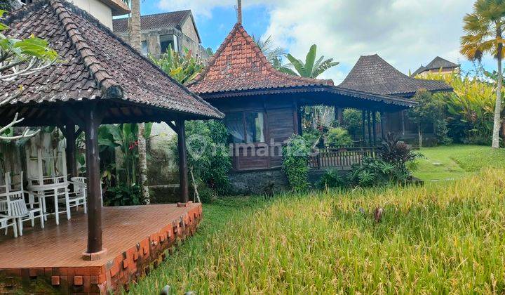 Villa joglo view sawah Abadi di sebatu Tegalalang Ubud bali 6