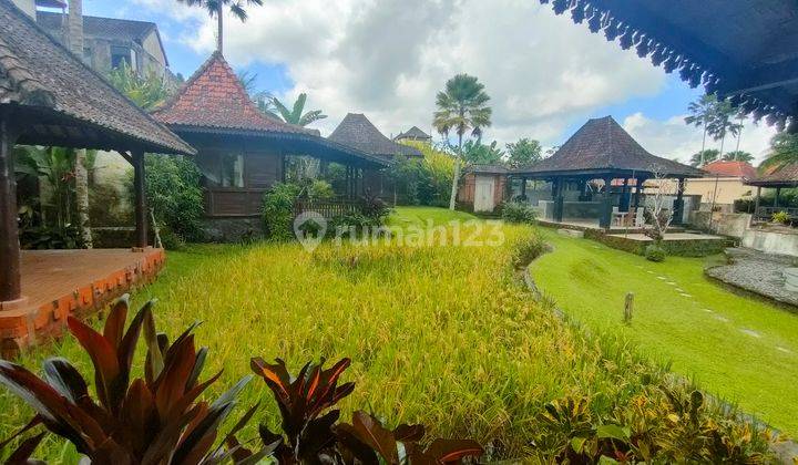 Villa joglo view sawah Abadi di sebatu Tegalalang Ubud bali 7