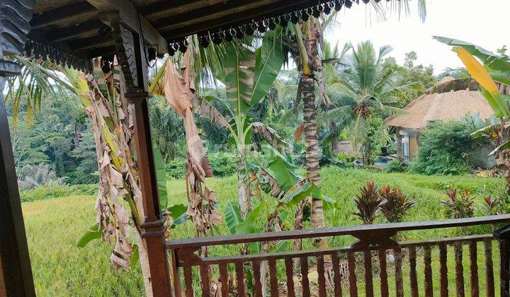 Villa joglo view sawah Abadi di sebatu Tegalalang Ubud bali 9