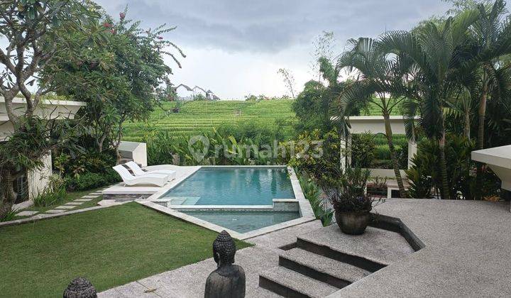 Villa view sawah furnished di Canggu Bali 1