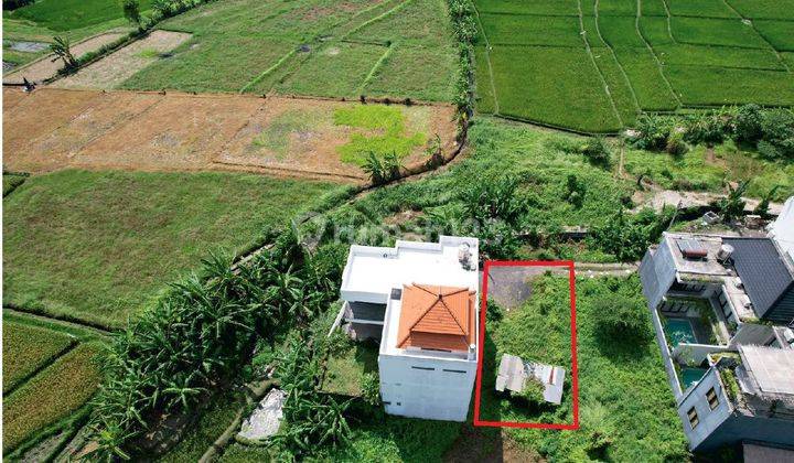 Cheap land with views of rice fields in the Villa environment in Tumbak Bayuh Pererenan 1