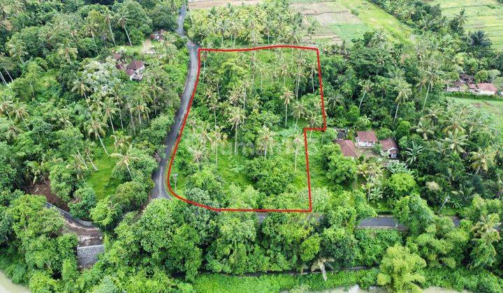 Cheap hook land near the Kerambitan lake dam, Tabanan, Bali 1