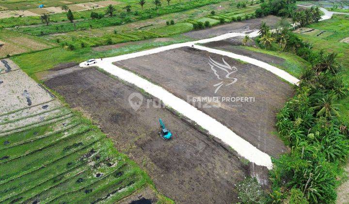 Tanah view sawah murah di Kedungu Tabanan Bali 2