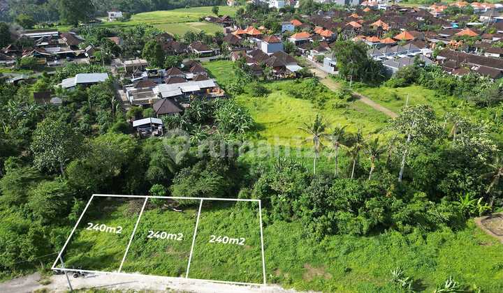 Tanah Murah dan Asri Lingkungan Villa di Nyitdah Tabanan Bali