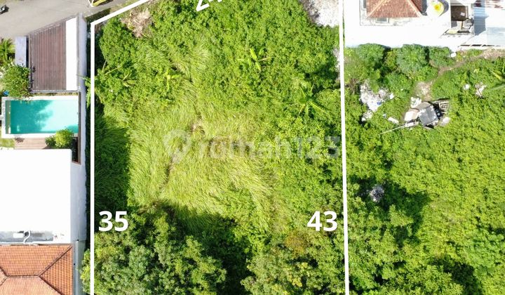 Tanah Murah Dikawasan Rumah dan Villa di Kutuh Bali Selatan