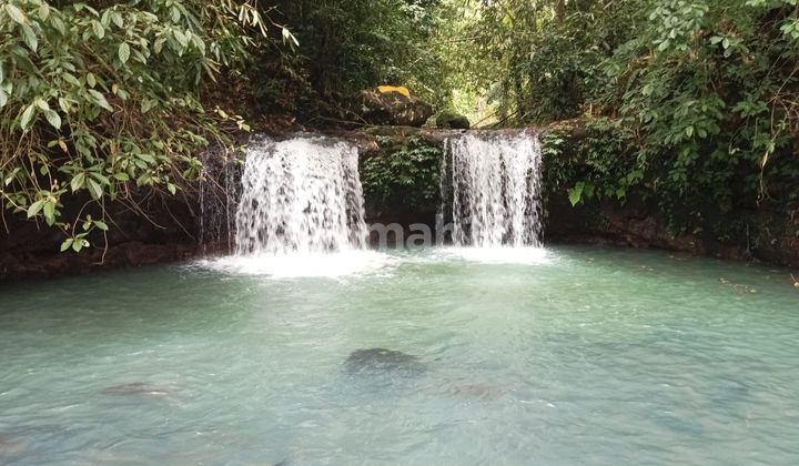 Tanah Kebun Murah Dengan Air Terjun Kawasan Wisata Gunung Salak Selemadeg Timur Tabana Bali 2