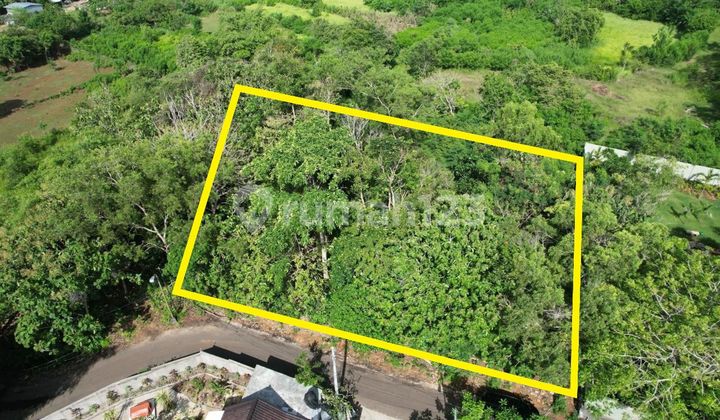 Tanah Murah Strategis Lingkungan Villa Di Uluwatu Tanah Murah Strategis Lingkungan Villa Di Uluwatu