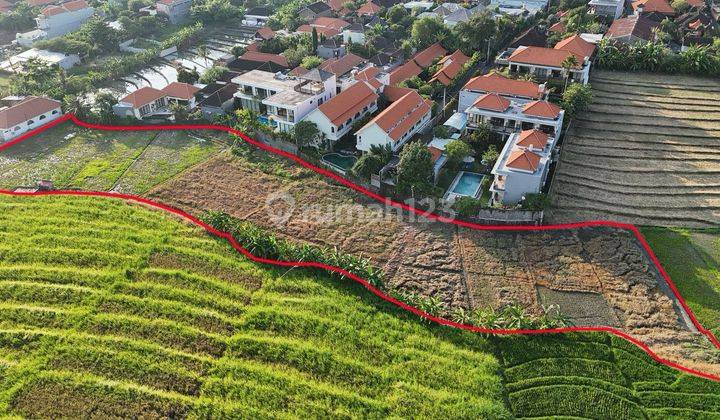 Tanah Batubolong Dikawasan Batubolong Canggu 2