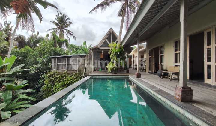 Villa View Sungai Dan Sawah Murah Dan Furnished Pantai Purnama Sukawati