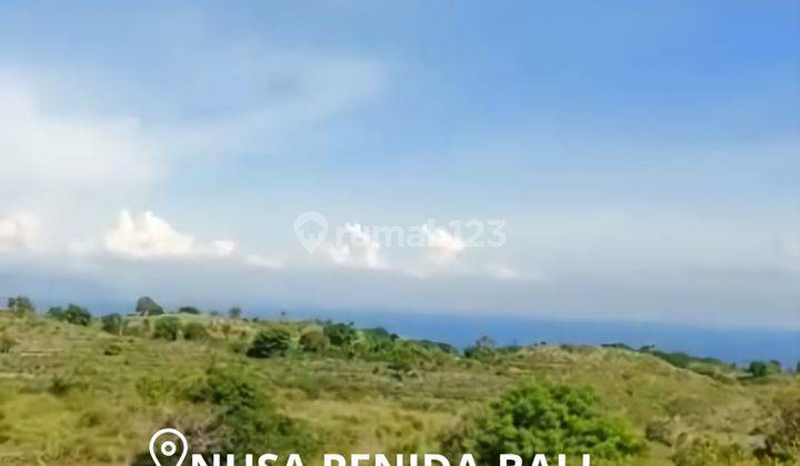 For Sale Tanah Cliff Front 38 Ha Nusa Penida  1