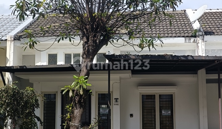 Disewakan Rumah Bagus di Cluster Amarylis Tanjung Bunga di Tanjung Bunga Makassar, Jalan Metro Tanjung Bunga, Maccini Sombala, Tamalate, Kota Makassar, Sulawesi Selatan, Indonesia, 90224, Tanjung Bunga Disewakan Rumah Bagus di Cluster Amarylis Tanjung Bunga di Tanjung Bunga Makassar, Jalan Metro Tanjung Bunga, Maccini Sombala, Tamalate, Kota Makassar, Sulawesi Selatan, Indonesia, 90224, Tanjung Bunga