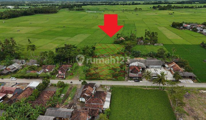 Dijual Tanah Sobang, Banten 4650 m2 Lokasi Strategis 2