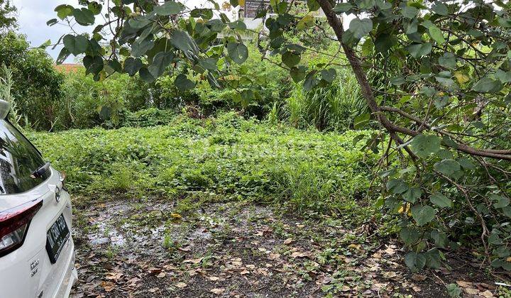Tanah Strategis Akses Mudah di Kayu Tulang, Canggu, Kuta Utara, Bali NEGO 1