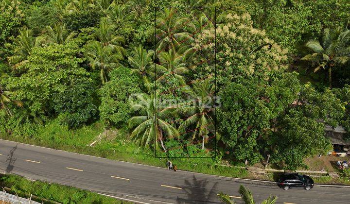 Dijual Tanah Cigeulis, Banten 6919 m2 Lokasi Strategis 2